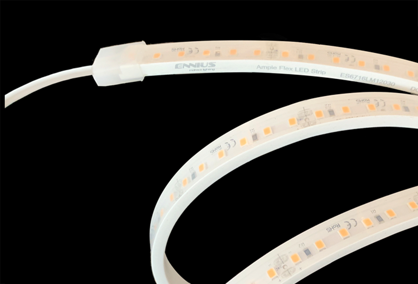 Ample12008 Ample ample12008-ample